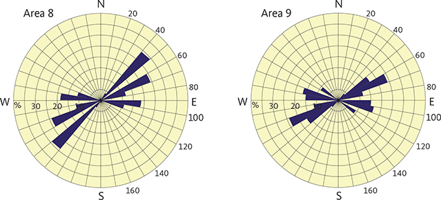 Fig. 28 Rose diagrams of dyke orientations for Areas 8 and 9 in the foreland immediately south of the Southern Nagssugtoqidian Front. The extent of these areas is shown in Fig. 8. Rose diagram construction described in Fig. 9.