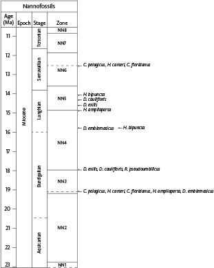 Fig. 7 Overview of the relative position of Early to Middle Miocene calcareous nannofossil events from the Valhall–Hod area. Nannofossil zonation of Martini (1971).