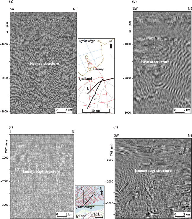 Click to Enlarge View Fig. 6 Examples of vintage and newly acquired 2D seismic data shown with vertical scale in two-way travel (TWT) time in milliseconds (ms). Example from onshore seismic data across the Havnsø structure with (a) vintage seismic data (Ref: SSL6267-R12) and (b) new seismic data acquired and processed by Uppsala University (Ref: GEUS22-HVN-P7). Example from offshore seismic data across the Jammerbugt structure with (c) vintage seismic data (Ref: WGC64A-39970) and (d) newly acquired seismic data by the Federal Institute for Geosciences and Natural Resources (BGR) and Aarhus University, and that was subsequently reprocessed by Realtimeseismic (RTS; Ref: GEUS23-JB-15 from the reprocessed survey GEUS2023-JAMMERBUGT-RE2023).