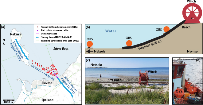 Click to Enlarge View Fig. 8 Overview of the Havnsø seismic acquisition from Havnsø to Nekselø. (a) Location map showing the onshore seismic sources (Vibroseis) and the marine receivers (OBS: Ocean bottom seismometers, and streamer cable) used along the northern portion of seismic line GEUS22-HVN-P1. (b) Schematic cross-section of the marine receivers. (c) The streamer winch on the beach at Havnsø with 600 m of streamer cable deployed at the seafloor towards Nekselø. (Photograph by Per Trinhammer 2022) (d) Four of the retrieved OBS on board a local fishing vessel that was used for the marine operation. (Photograph by Egon Nørmark 2022).