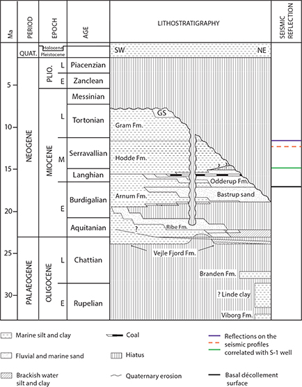 Stratigraphic diagram (modified from Rasmussen 2004). The succession involved in the thrusting consists of fine-grained sediments (the south-western part of the diagram) of late Burdigalian and younger age. The basal décollement surface (black line) developed in the fine-grained sediments of the Arnum Fm (Early Miocene). The upper décollement surface developed in the fine-grained sediments of the Hodde Fm (Middle Miocene), between the orange and purple reflectors.