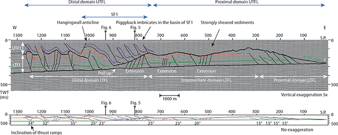 Seismic section (Fl01–50) showing a duplex with imbricated thrust sheet in two levels. The lower thrust fault level (LTFL) is detaching on the basal décollement surface acting as a floor thrust. The UTFL is detaching on the Upper décollement surface, acting as a roof thrust for the LTFL and a floor thrust for UTFL. LTFL and UTFL can be divided into three and two structural domains, respectively, showing different structural styles (see Section 4.3 and 4.5 and Fig. 8). The seismic section is an approximate dip line to SF1, showing piggyback imbricates in a basin (S.P. 725–900) behind a huge hanging wall anticline (S.P. 900–1050). Seismic section shown with 5x vertical exaggeration. Interpretations shown below the seismic section with no exaggeration. Here, the inclination of the thrust faults ramps is measured. Crossing seismic lines are marked on the seismic section with a figure number, see Figs 1, 7 and 8 for location of this cross-section. S.P.: Shot point. TWT: Two-way travel time.