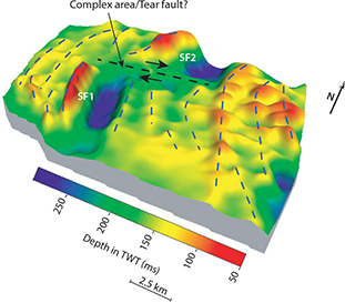 3D map of the upper décollement surface with a 2.5x exaggeration gives a perspective view of the hilly landscape with ridges above hanging wall anticlines and depressions above extensional faulting in the LTFL. Both SF1 and SF2 comprise hill-hole pairs at this surface level, although the internal structural framework is very different (Figs 3 and 4). SF1 and SF2 are connected by a low-lying area with a complex reflection pattern; hence, the interpretation of this area is uncertain (see Section 4.6). There is a remarkably large coherent ridge just proximal SF1 and SF2.