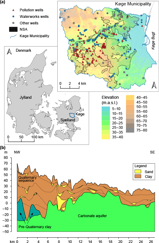 Fig. 2 Overview of the Køge municipality study site. a: Location of Køge municipality in Denmark. The groundwater abstraction areas officially designated as nitrate-sensitive areas (NSAs) and well locations and types are also shown. Elevation in metres above sea level (m.a.s.l). b: Conceptual hydrostratigraphic model for the study area.