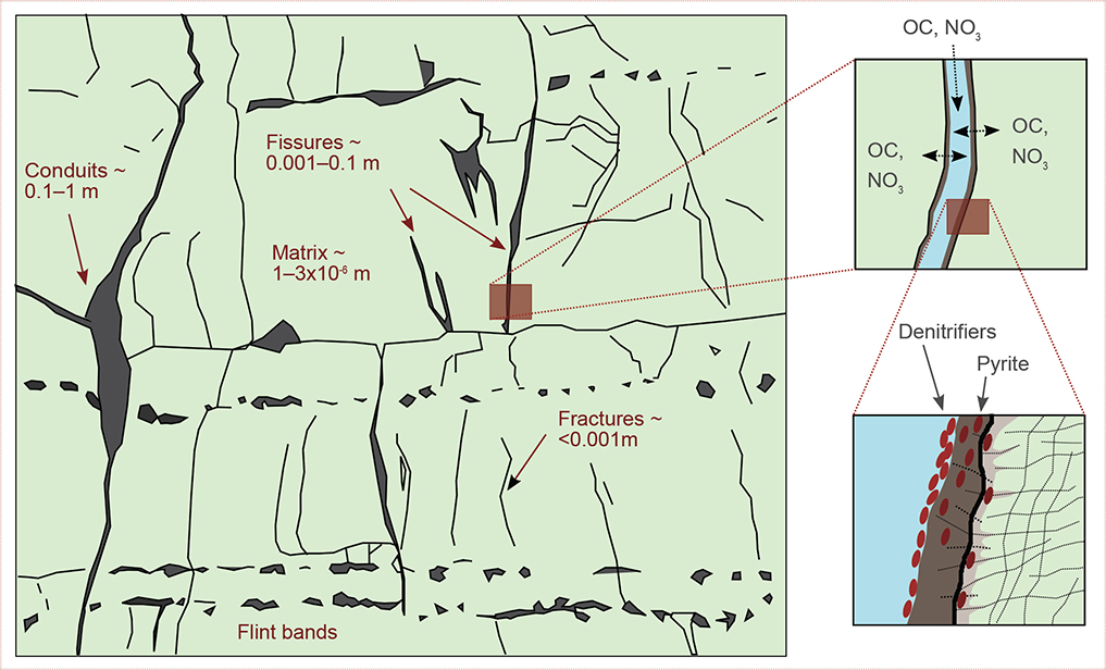 Click to Enlarge View Fig. 1 Conceptual model showing a carbonate aquifer with zoom at a pyrite-coated fissure wall, where it is hypothesised that denitrifiers are found; denitrification is potentially also happening in the matrix, close to the fissure wall (see text for references). The background fracture pattern and the pore sizes are digitised from Maurice et al. (2023). OC: organic carbon. NO3: nitrate.