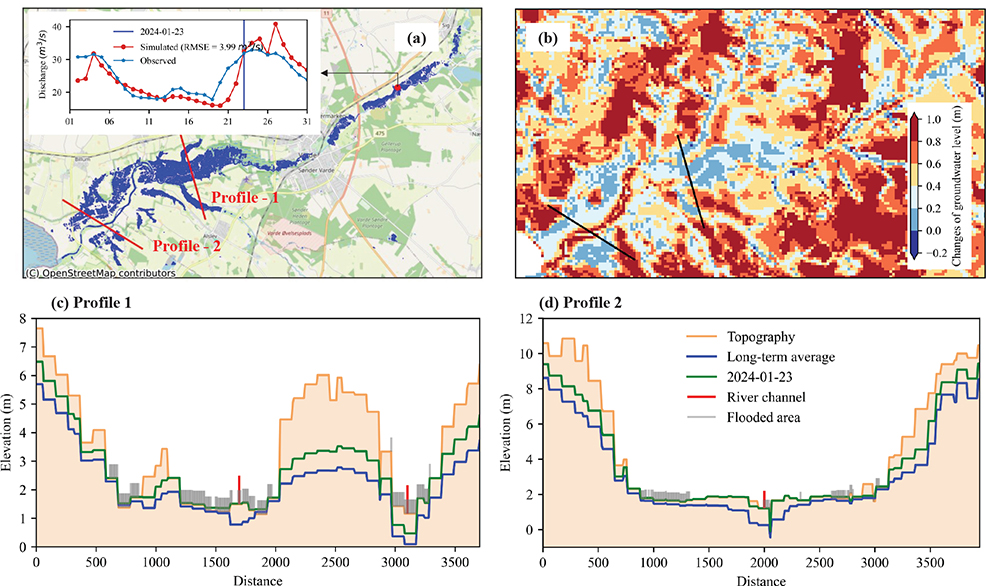 Fig. 4 Application of the flood forecasting system to a local case study (Varde River). (a) Inundation extent derived from satellite imagery on 23 January 2024, and a comparison of simulated and observed discharge at the hydrological station during January 2024. (b) Relative changes of the groundwater levels on the same date compared to historical reference (mean values of 1989–2023) for the area. (c) and (d) are vertical profiles along two cross-sections across the river valley. The curves show model topography, groundwater level dated 23 January 2024 (green) and groundwater level from historical reference (blue). Flooded area from satellite data is indicated in grey and river location in red. Note that the real water surface elevation is unknown, so the grey and red bars in (c) and (d) do not indicate water depth of the inundated area but the locations.