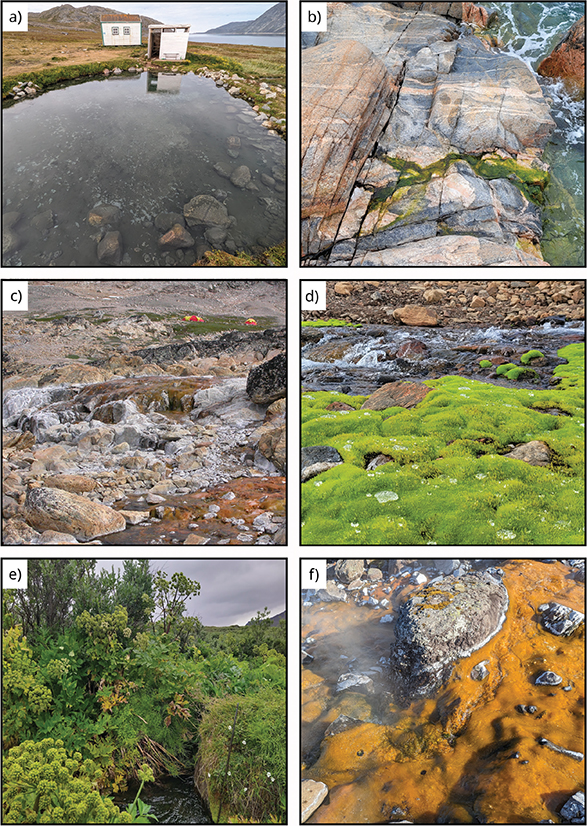 Click to Enlarge View Fig. 2 Overview of spring types. (a): Uunartoq surface pool in South Greenland (Photo: Michael Kühl). (b): Spring water emerging from rock face at Uunataaji near Ittoqqortoormiit in central East Greenland (Photo: Grimur Björnsson). (c): Hot spring emerging out of a hillside in Nørrefjord in central East Greenland with mineral precipitates on the surrounding stones and with the spring bed covered by colorful bacterial mats (Photo: Michael Kühl). (d): Green moss near Ittaajimmiit cold spring in central East Greenland (Photo: Grimur Björnsson). (e): Kvan from Sullorsuaq on Qeqertarsuaq in central West Greenland (Photo: Ylva Sjöberg). (f): Cyanobacterial mats at Knighton Fjord, central East Greenland (Photo: Michael Kühl). (g): Chimney structure in snow from the Uunartorsuaq spring on Qeqertarsuaq in 2000 (Photo: Kristensen 2000). (h) and (i): Seersinneq icing in Serminnguaq on Qeqertarsuaq (Photo: Jon Feilberg). (j): Thermal spring in the intertidal zone in Qalaattiviip Kangersiva (Rømer Fjord) in central East Greenland. The spring is covered by seawater at high tide, and the effluent water contains many gas bubbles, which can also be seen reaching the seawater surface at high tide (Photo: Michael Kühl & Søren Rysgaard). (k): A hot spring emerging from under a patch of snow-cover at the coastline of Qalaattiviip Kangersiva (Photo: Michael Kühl & Søren Rysgaard). (l): Surface depressions on a small glacier at the end of Giesecke Dal on Qeqertarsuaq are hypothesised to be associated with subglacial spring (Photo: Ole Bennike).