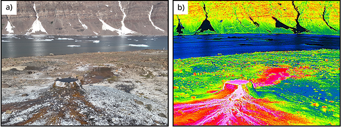 Click to Enlarge View Fig. 3 A crater-like mound formed by a hot spring on the southern side of Qalaattiviip Kangersiva (Rømer Fjord), central East Greenland. (a): RGB imagery. (b): Thermal signature (Drone data: Michael Kühl).
