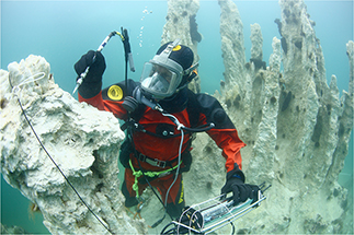 Click to Enlarge View Fig. 4 Submarine springs in the Ikka fjord, South-west Greenland, form up to 20 m high ikaite tufa columns. Carbonated, high pH freshwater enriched in phosphate seeps out of the fjord bottom and reacts with cold seawater forming the hydrated calcium carbonate ikaite. Over time, this leads to the formation of columns growing upwards, as spring water flows continuously inside columns to their apex, where fresh ikaite is deposited in between microbial biofilms with abundant exopolymers, while older parts of the columns become encased by calcite and coralline red algae (Photo: Jesper Kikkenborg).