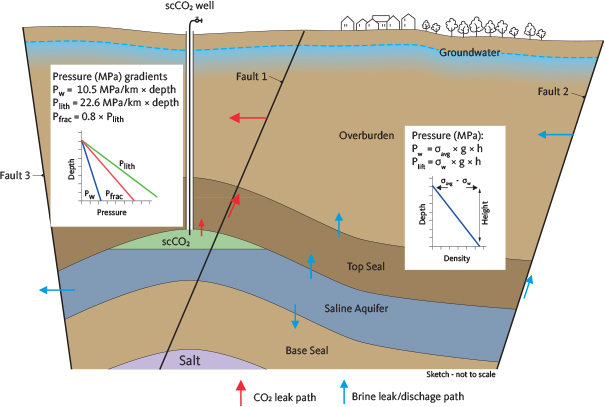 Fig. 3 Conceptual sketch of supercritical carbon dioxide (scCO2) stored in a fault-bounded salt structure. The upper pressure limit is set by fracture (Pfrac) or caprock displacement pressure, allowing leakage through faults or the seal (red arrow). Hydrostatic pressure (Pw) reflects water column load (density × height × g). In open systems, pressure can dissipate by brine discharge (blue arrows), either laterally or along faults, requiring lift pressure (Plift) governed by brine density and height. Gradients from Schovsbo et al. (2025) and Williams et al. (2022).
