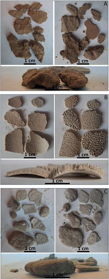 Fig 3 Representative coarse fraction specimens shown from front, back and side views. A: Outlet 2. B: Outlet 3. C: Outlet 5 (outlets shown in Fig. 2).