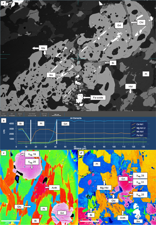 Fig 4 (a) BSE image of mica schist sample 576237 showcasing a large, inclusion-rich garnet porphyroblast in a matrix composed of quartz, plagioclase and amphibole. (b) Line-scan across a garnet grain in mica schist sample 576213 showing little internal zoning in the core; towards the rim, Fe and Mn increase, whereas Mg and Ca decrease. The line-scan location is shown in the supplementary material. False colour enhanced back scattered image of the (c) mica schist sample 576265 and (d) the amphibolite sample 576232 showcasing garnet alteration at its rims and fractures. The false colour scale represents variations in back scattered image intensity and was generated using ImageJ software (Schneider et al. 2012). Ilm: ilmenite. Chl: chlorite.