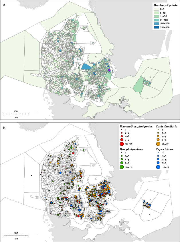 Click to Enlarge View Fig. 2 Spatial distribution of the Quaternary zoological dataset across Denmark. The upper panel shows the total number of registered entries aggregated by parish, displayed as graduated colours representing cumulative counts per parish (ETRS89 / UTM Zone 32N). Darker shades indicate higher concentrations of finds. Purple triangle mark the Zoological museum and depository for the Quaternary zoological collection. The lower four panels present the spatial distribution of selected major taxa groups (e.g. Bos primigenius (aurochs); Canis familiaris (domestic dog); Capra hircus (domestic goat); Mammuthus primigenius (woolly mammoth), with proportional red circles illustrating the number of records per locality.
