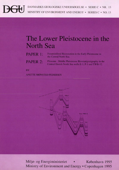 Cover image for volume 13