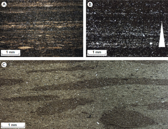 Thin sections of rock