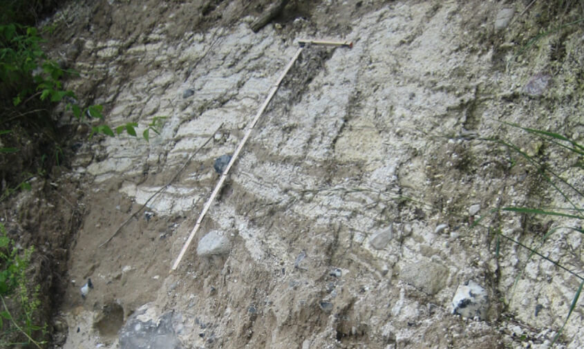 Photo of exposed cliff section at Stevns Klint