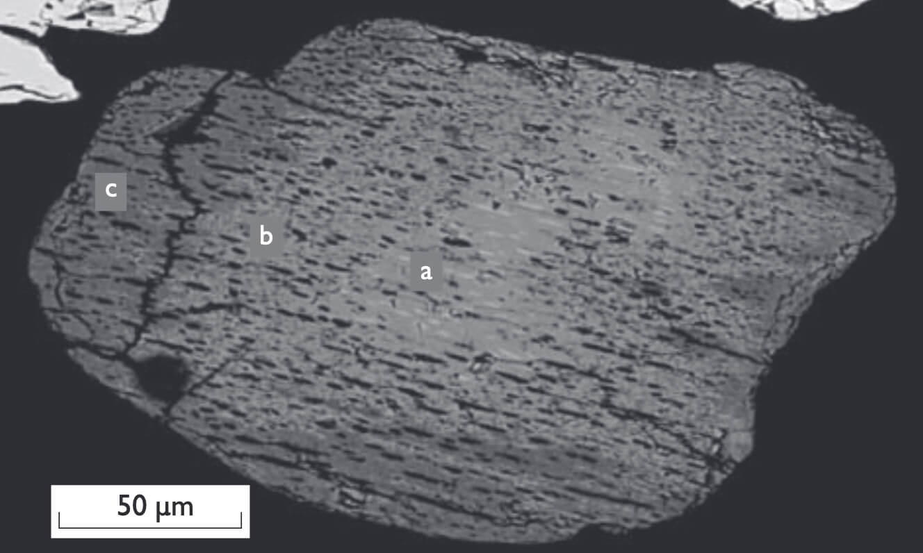 Thin section of a mineral grain.