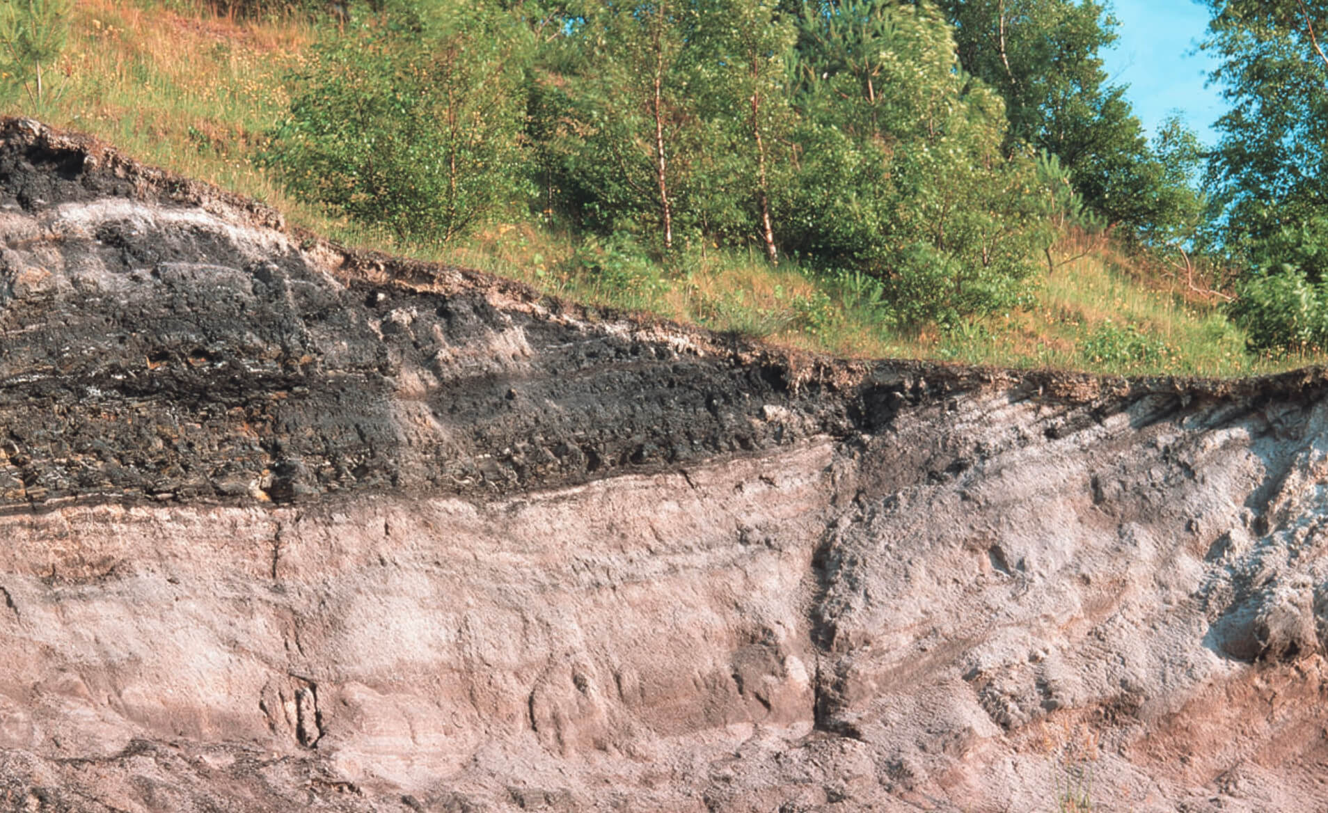 Geological section exposure.