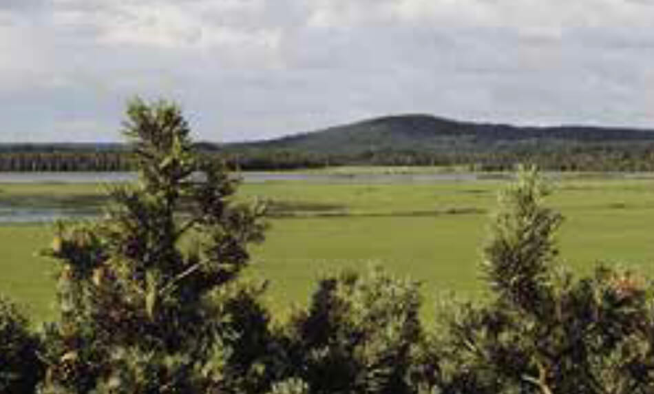 A flat plain with a hil in the distance.