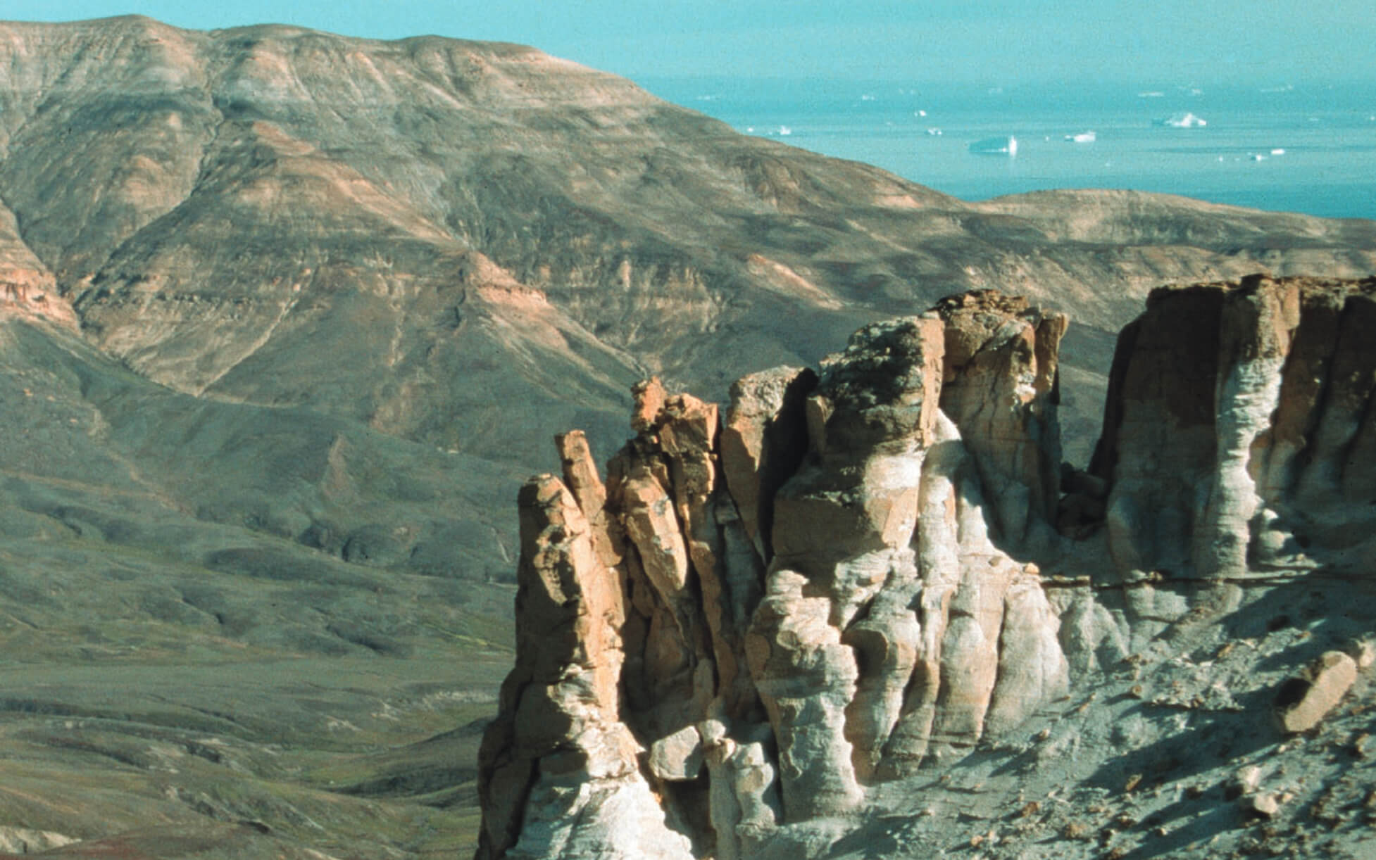 Rock pillars with mountains in the background.