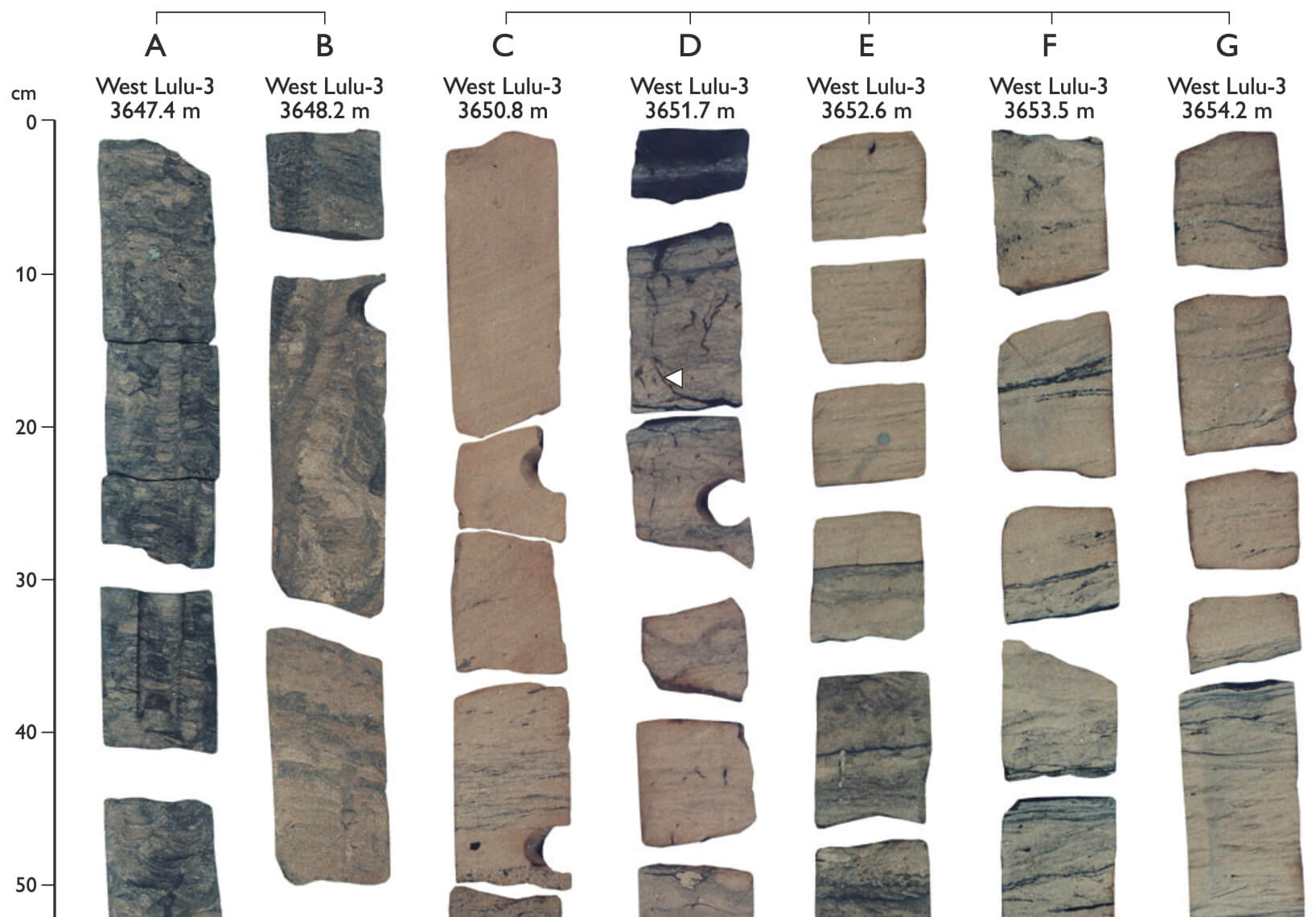 Collection of seven drill cores.