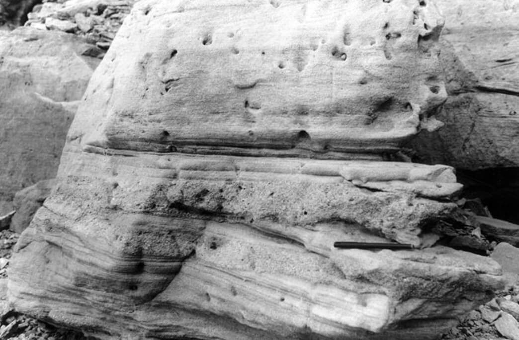 Black and white photo of sedimentary rock.