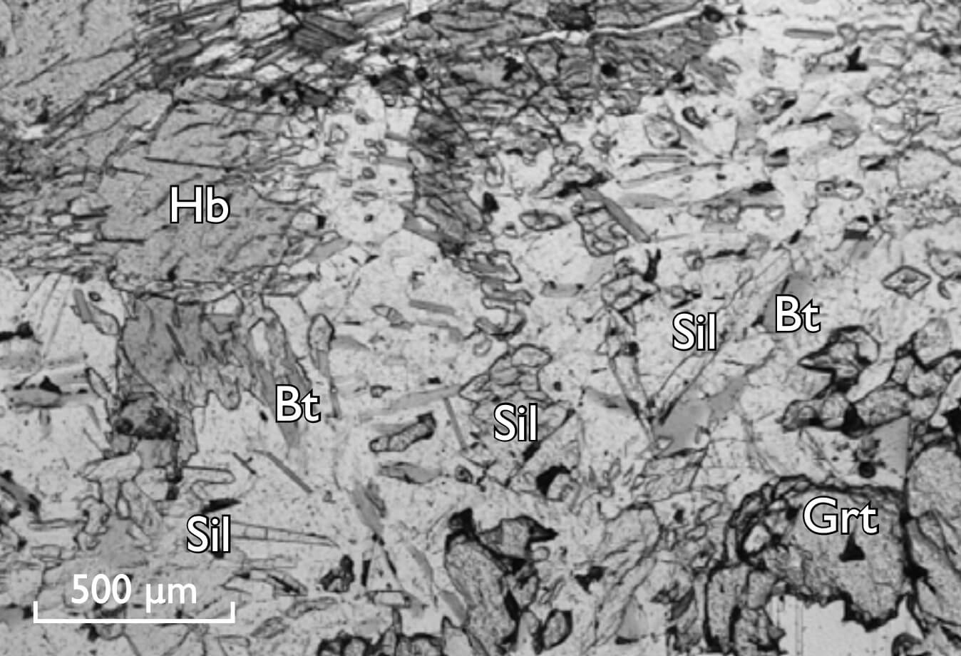 Thin section of minerals.