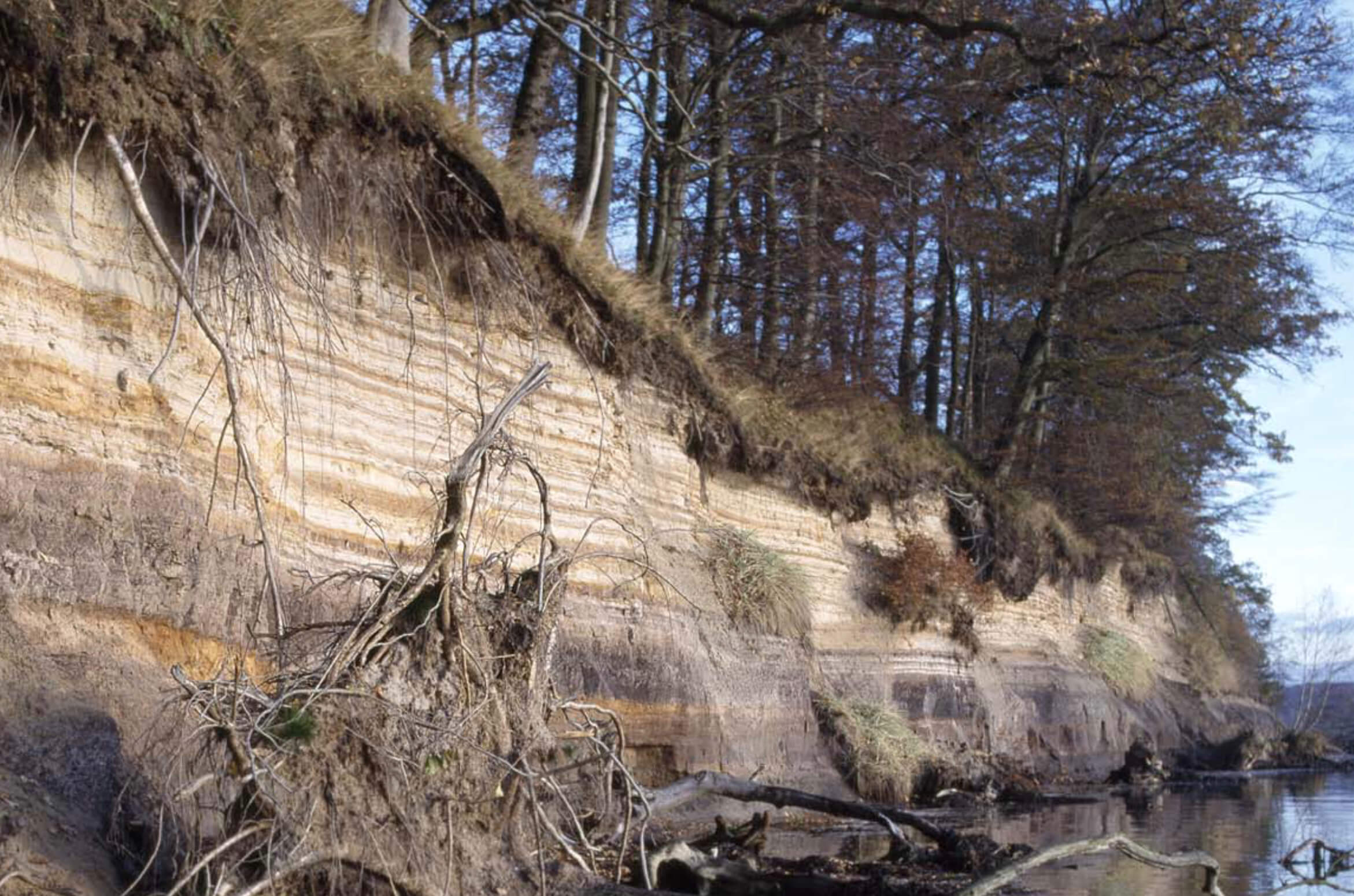 Exposed geological section.