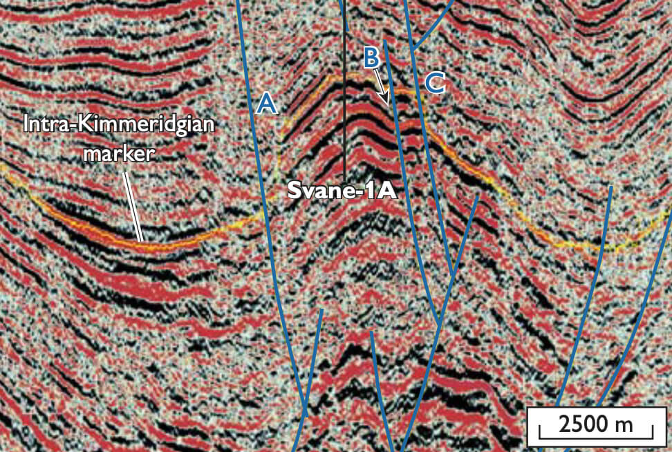 Seismic data profile.