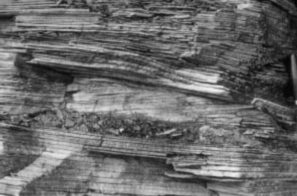 Black and white photo of sedimentary rock exposure.