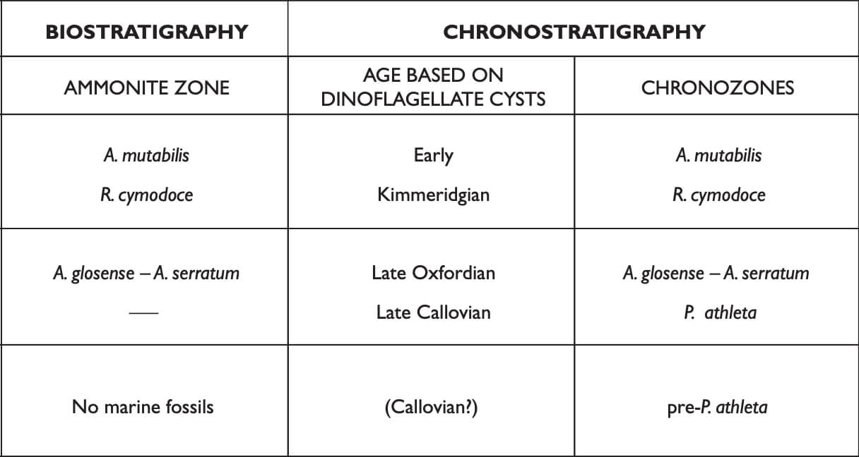 Schematic showing two types of geological stratigraphy.