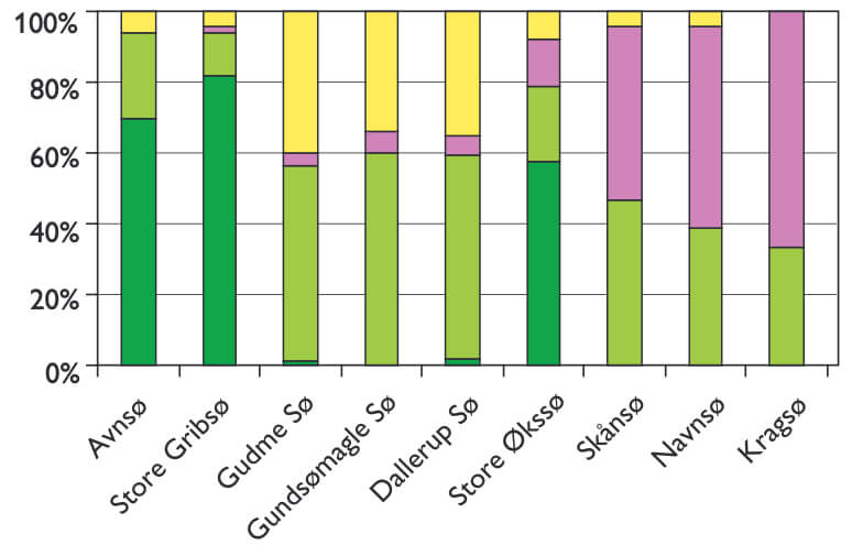 A bar chart.