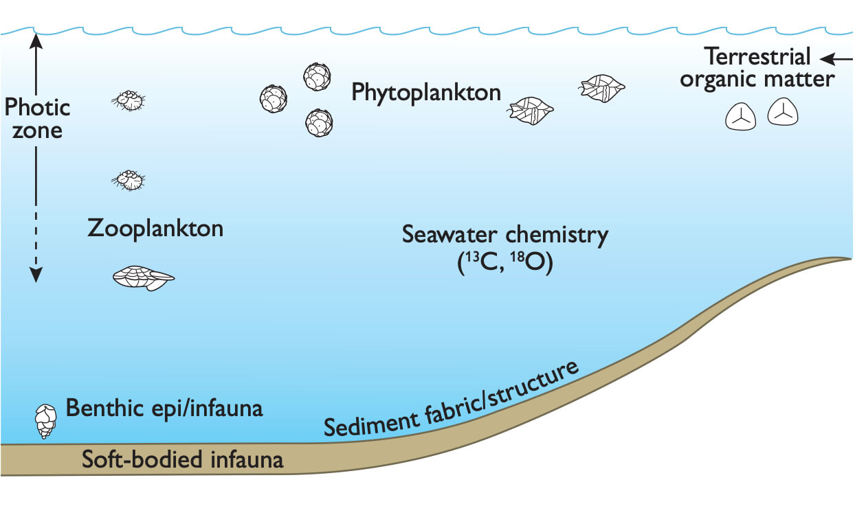 Schematic showing process of chalk formation.