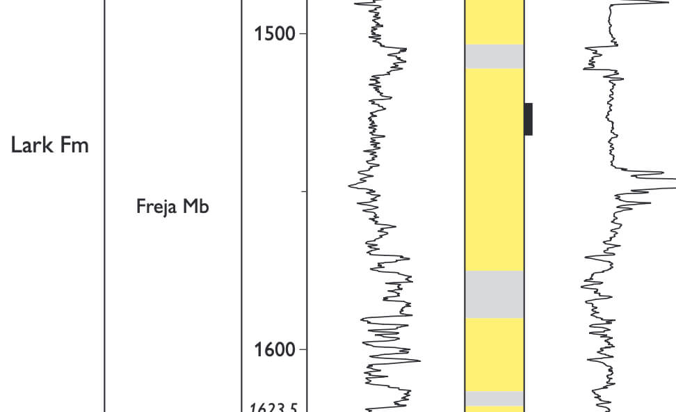 Partial view of a seismic data profile.