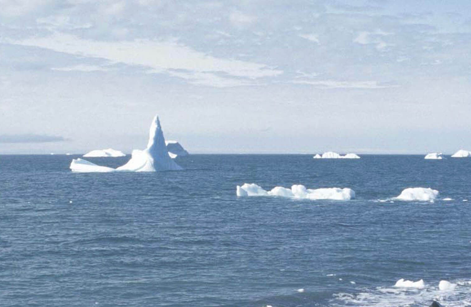 Ice bergs floating at sea.