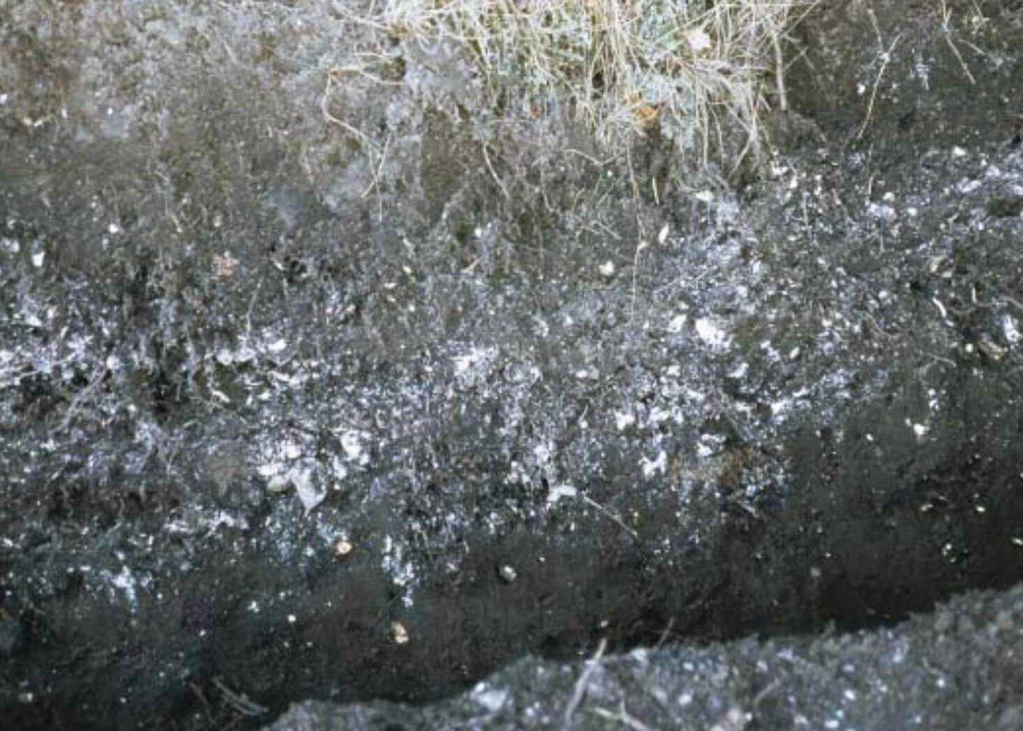 A soil profile.