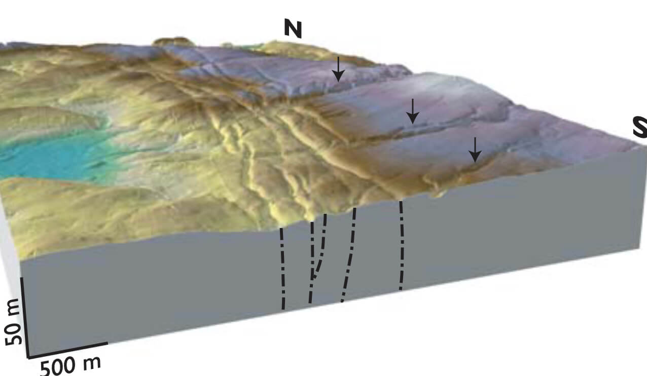 3D model of the study site.