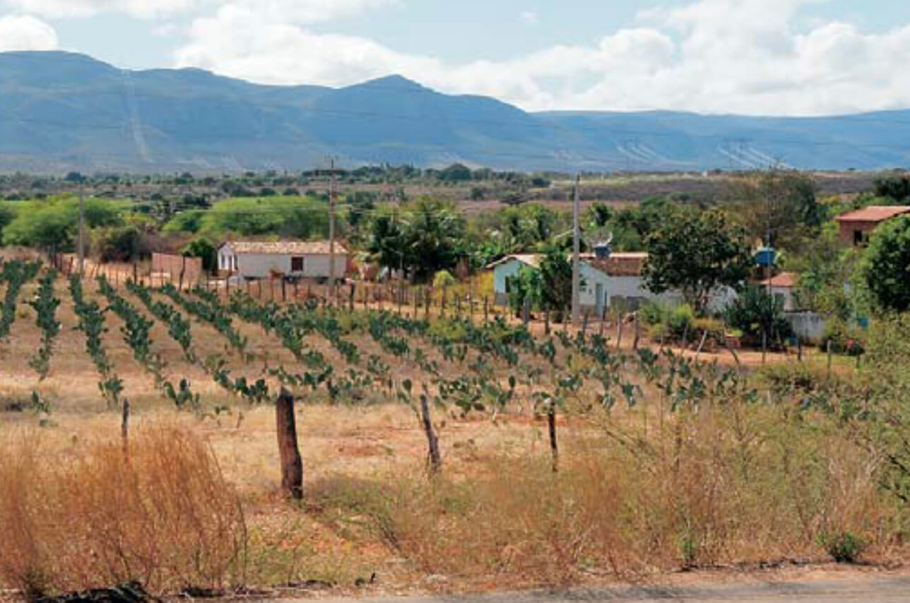 Houses with fields in the foreground.