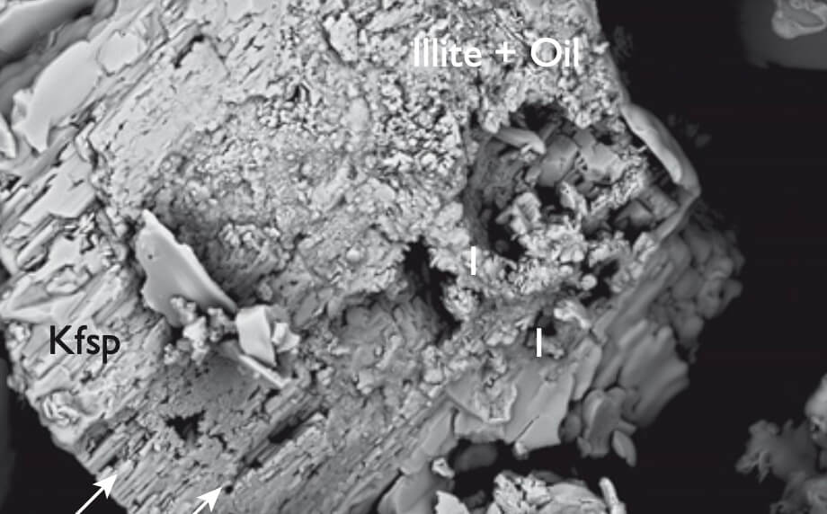 Magnified view of mineral grains in black and white.