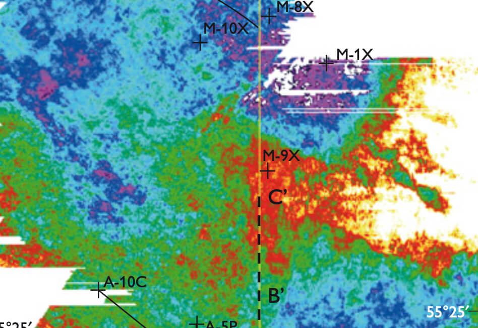 View of geophysical data covering the study site.