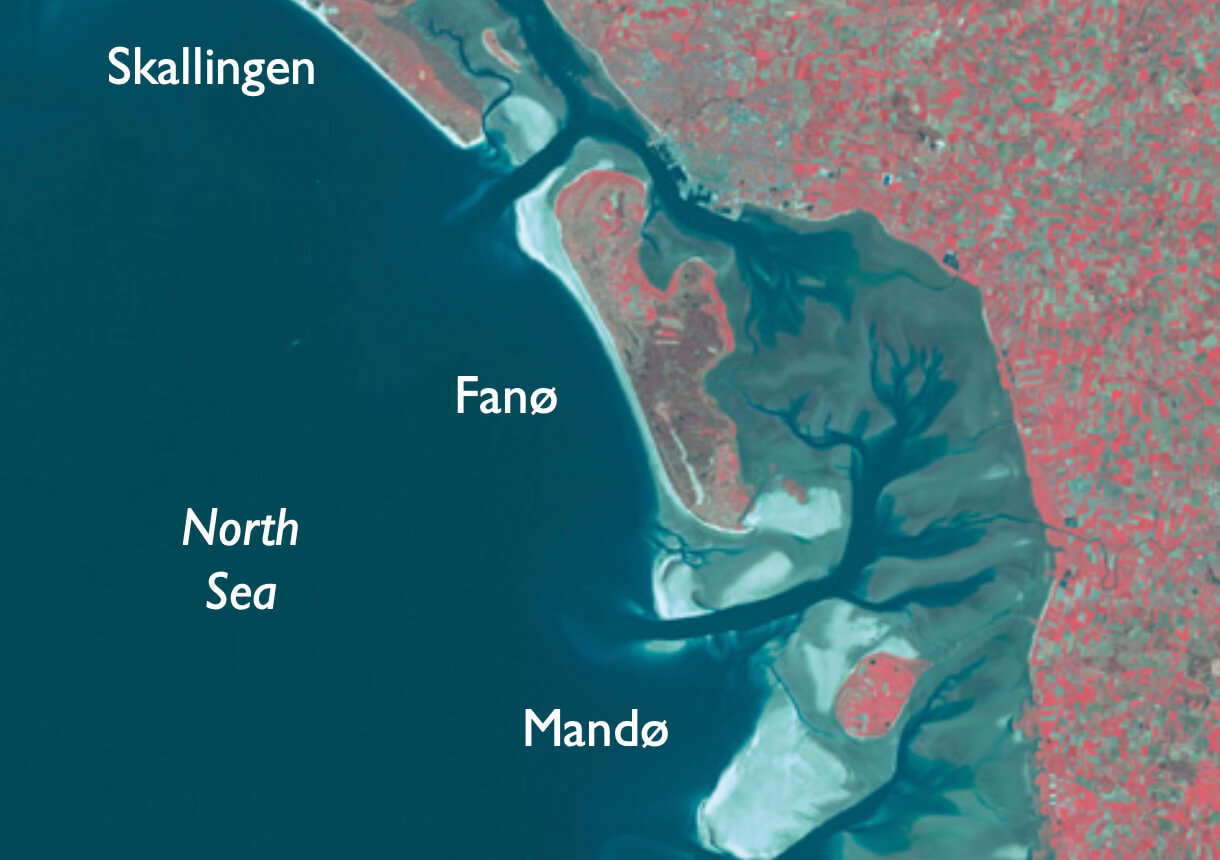 Partial satellite view of study site.