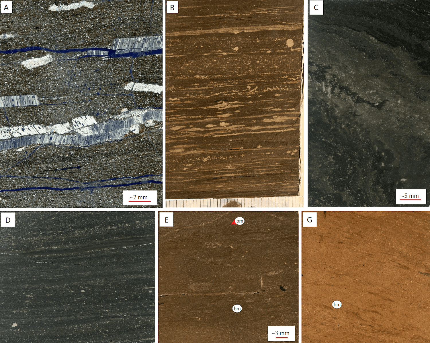 Photos of sediments from Wollaston Forland in Greenland
