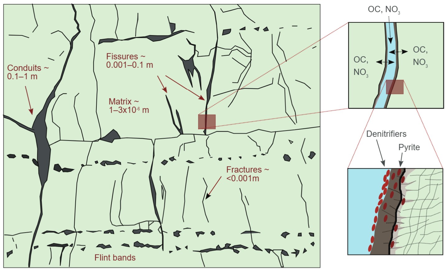 Conceptual model showing a carbonate aquifer green background with black lines