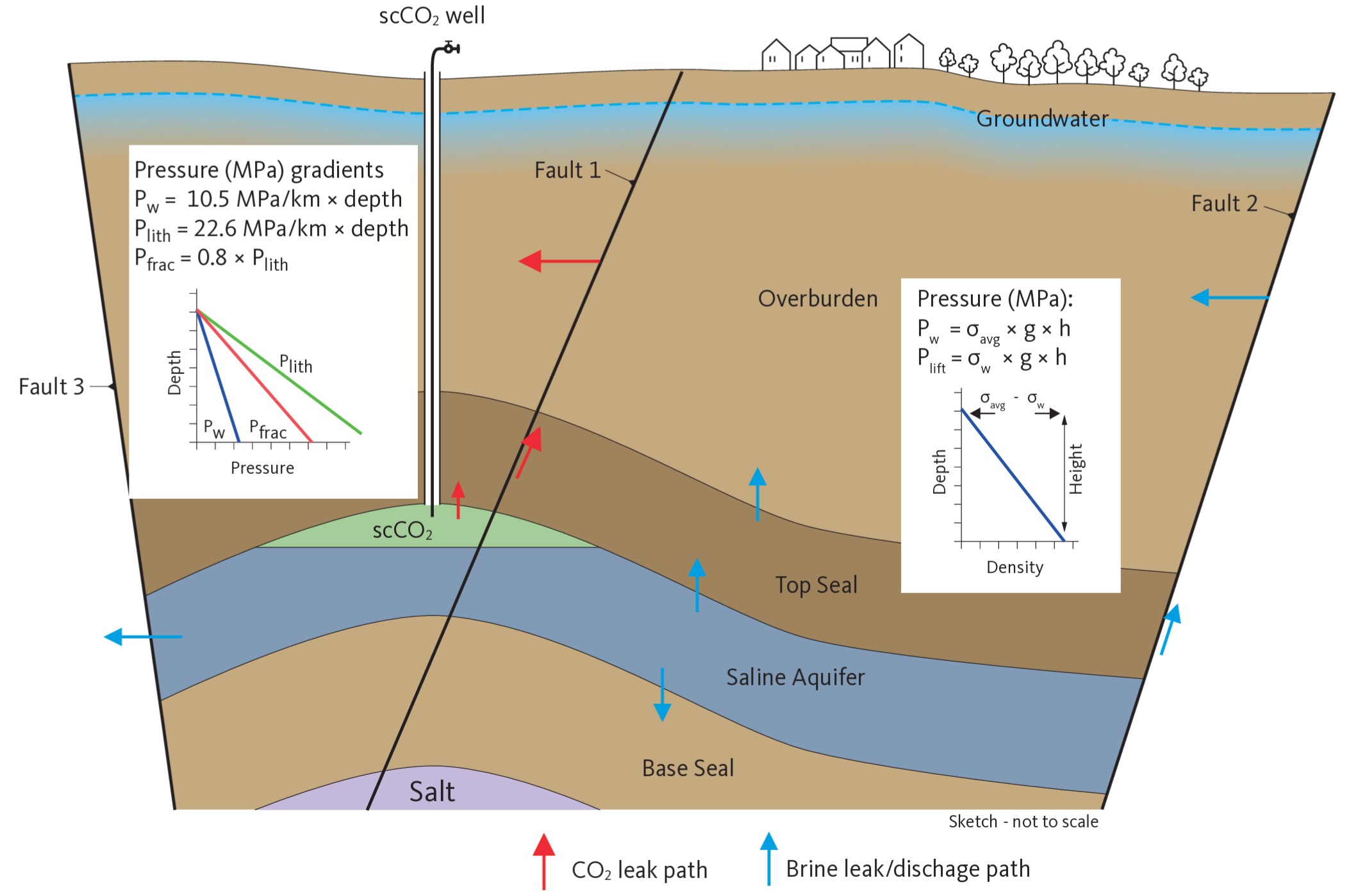  Conceptual sketch of supercritical carbon dioxide (scCO2 ) stored in a fault-bounded salt structure in brown and blue layers
