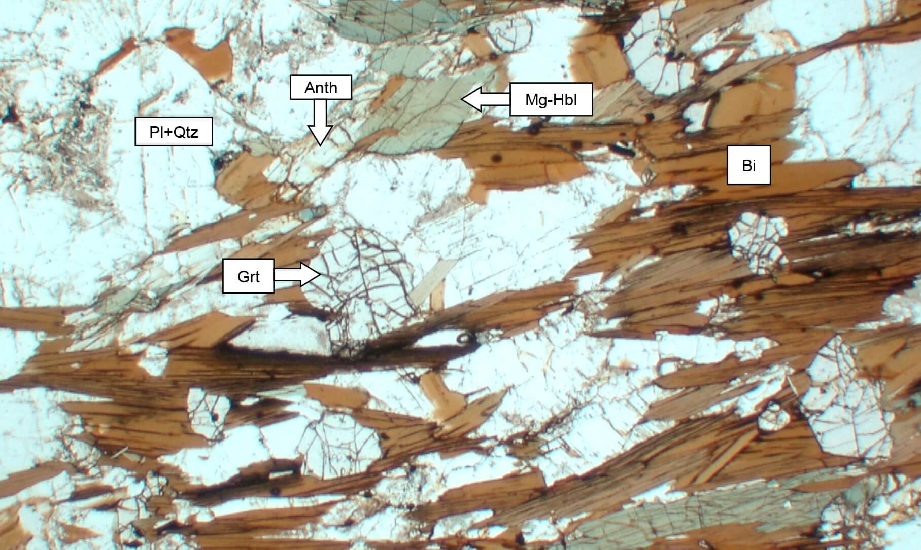Thin section of garnet